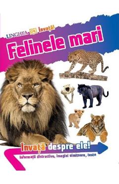 Carte Felinele mari. Invata despre ele! editura Andrea Mills