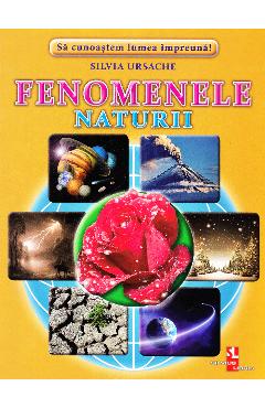 Carte Fenomenele Naturii - Cartonase - Silvia Ursache editura Silvia Ursache