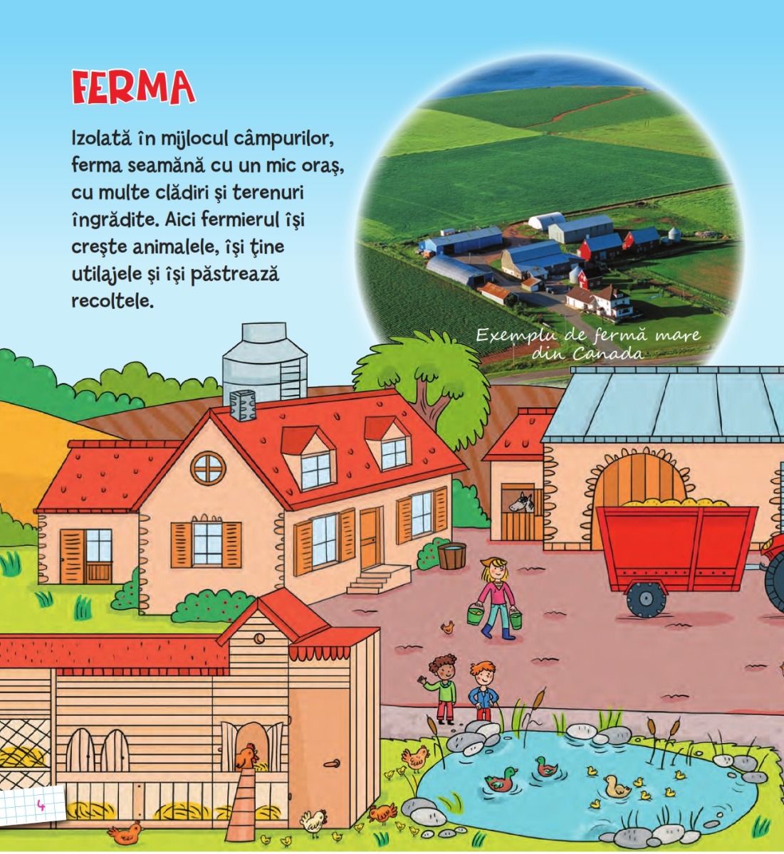 Carte Ferma autor Emmanuelle Kecir-Lepetit editura Niculescu