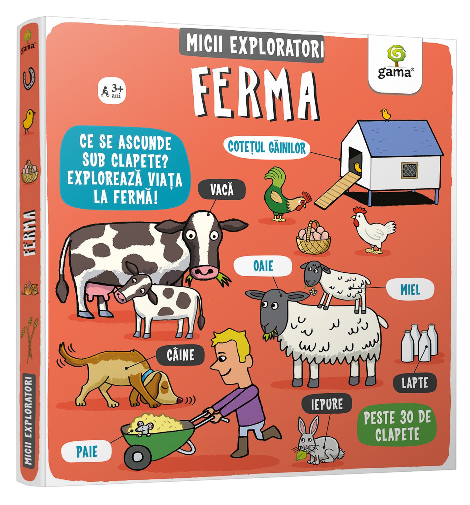 Carte Ferma autor Ruth Martin editura Gama