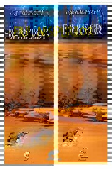 Carte Fiul nisipurilor editura Fundatia culturala Ideea Europeana