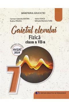 Carte Fizica - Clasa 7 - Caietul elevului - Carmen-Gabriela Bostan