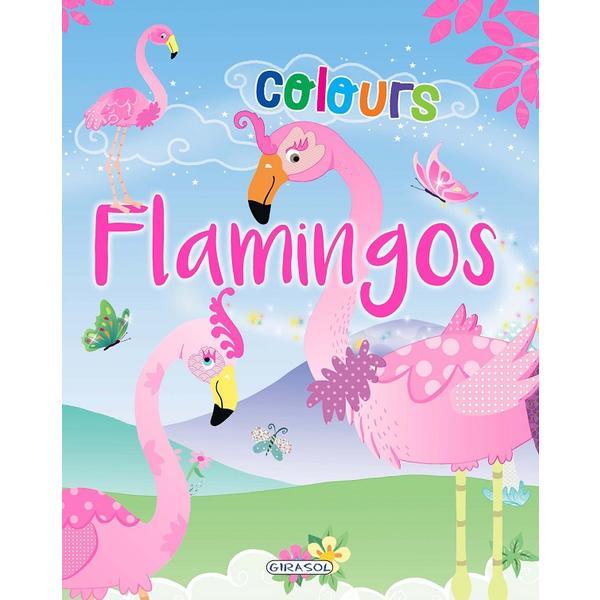Carte Flamingos colours: Roz
