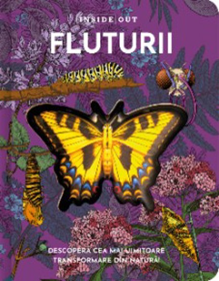 Carte Fluturii editura Kreativ