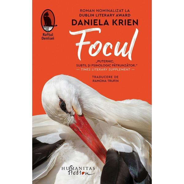 Carte Focul - Daniela Krien