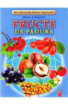 Carte Fructe de padure - Cartonase - Silvia Ursache editura Silvia Ursache