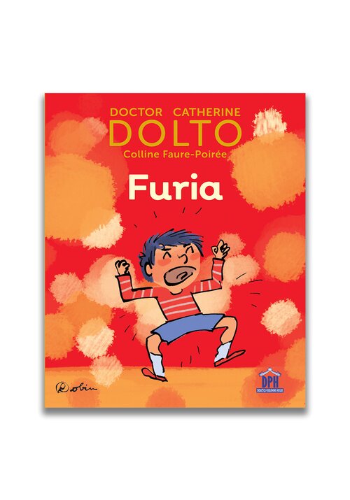 Carte Furia editura Didactica Publishing House
