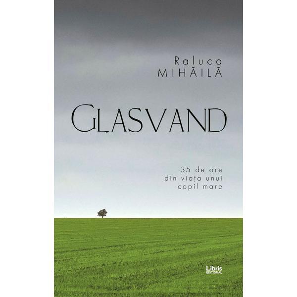 Carte Glasvand - Raluca Mihaila