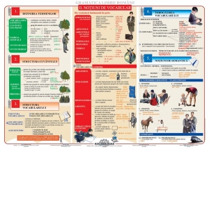 Carte Gramatica limbii romane: Notiuni de vocabular - plansa didactica A4
