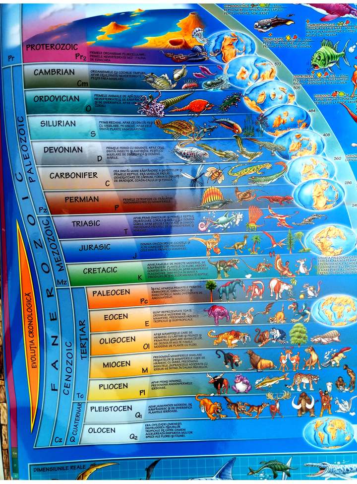 Carte Harta ilustrata a lumii preistorice   editura Art