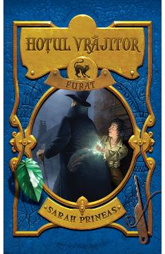 Carte Hotul vrajitor furat - Sarah Prineas editura Sarah Prineas