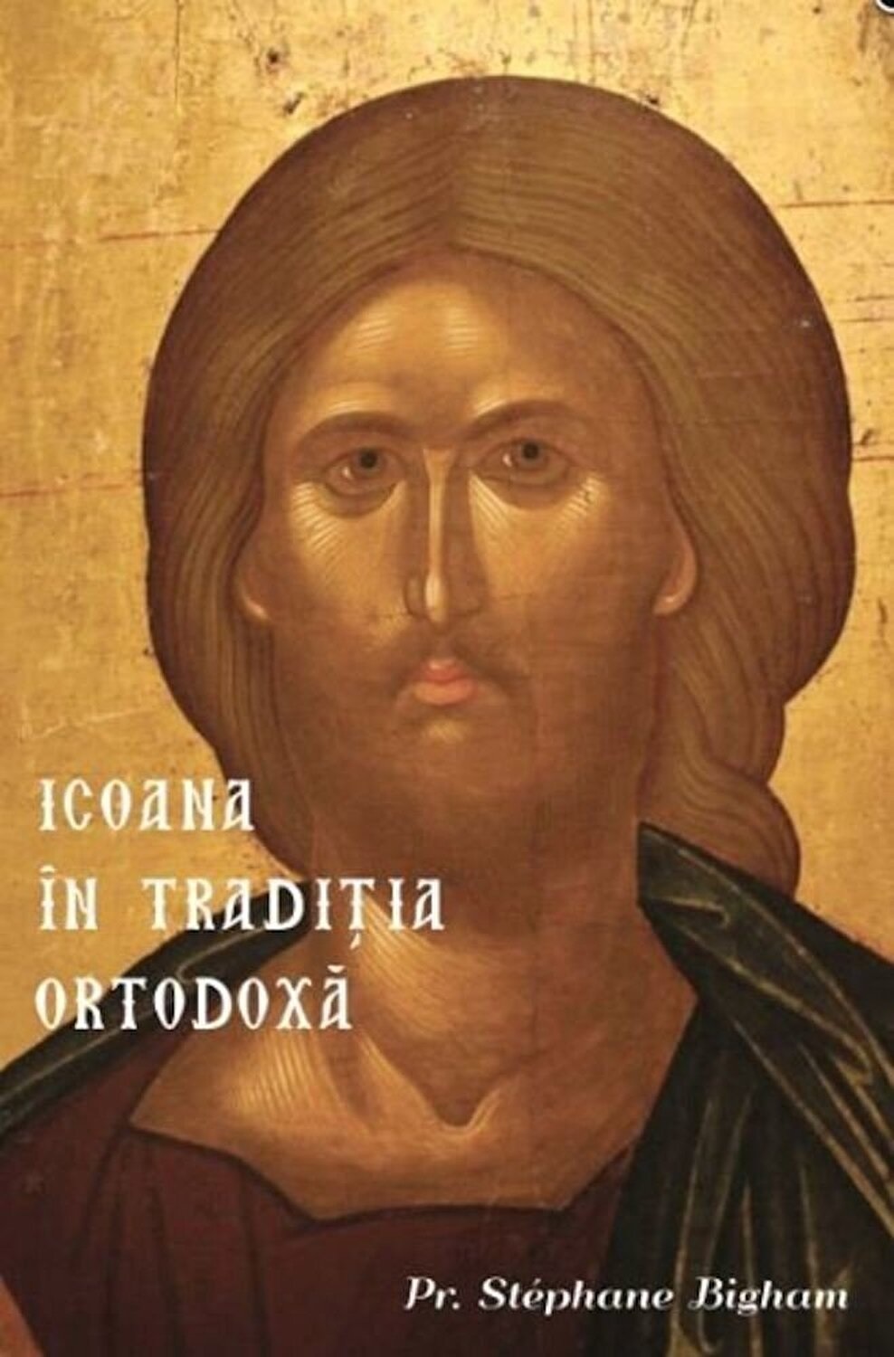 Carte Icoana in traditia ortodoxa autor Stephane Bigham editura Theosis