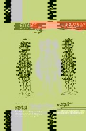 Carte Imblanzirea divinei egrete editura Grupul Art