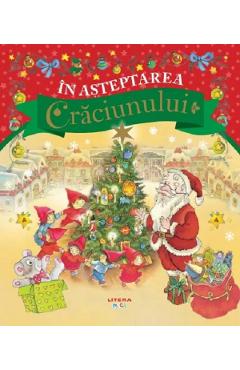 Carte In asteptarea Craciunului editura -