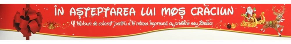 Carte In asteptarea lui Mos Craciun editura DPH