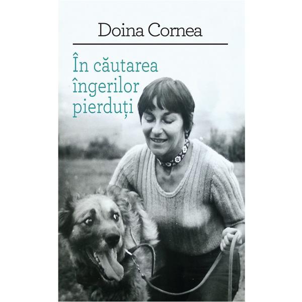 Carte In cautarea ingerilor pierduti - Doina Cornea