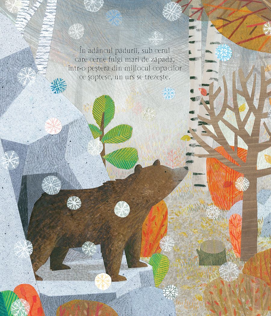 Carte In inima padurii autor Katharine McEwen editura Univers Enciclopedic