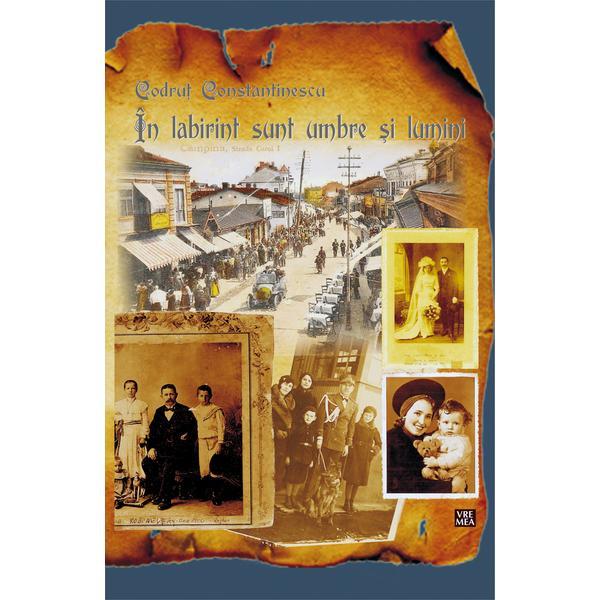 Carte In labirint sunt umbre si lumini - Codrut Constantinescu