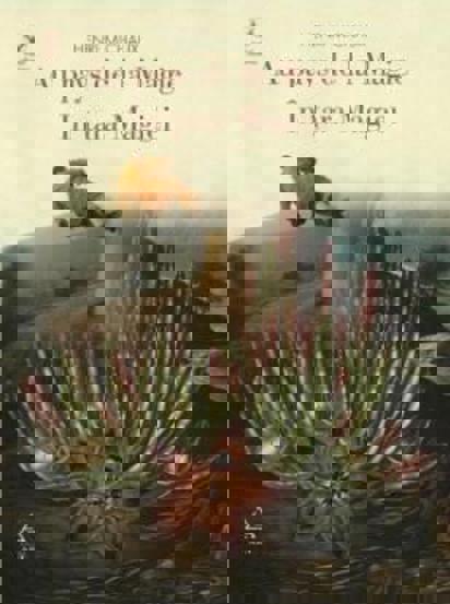 Carte În ţara Magiei editura Grupul Art