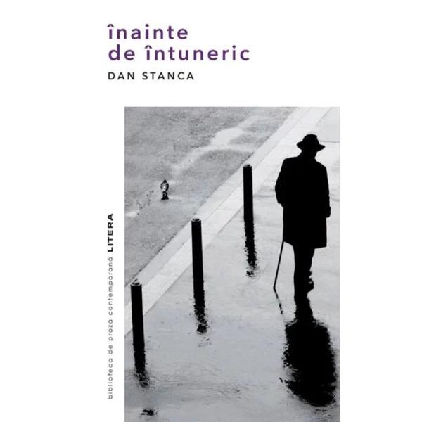 Carte Inainte de intuneric - Dan Stanca