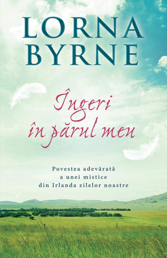 Carte Ingeri in parul meu editura Rao