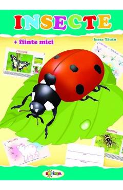 Carte Insecte (mapa) - Inesa Tautu editura Inesa Tautu