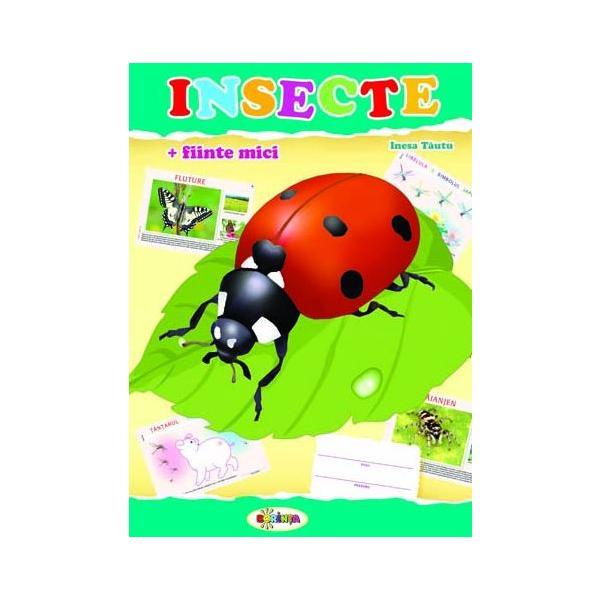 Carte Insecte (mapa) - Inesa Tautu