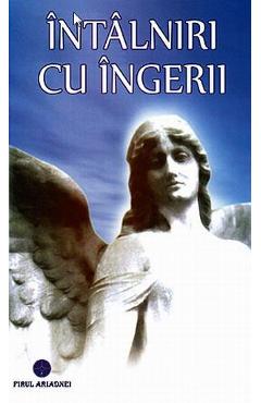 Carte Intalniri cu ingerii editura -