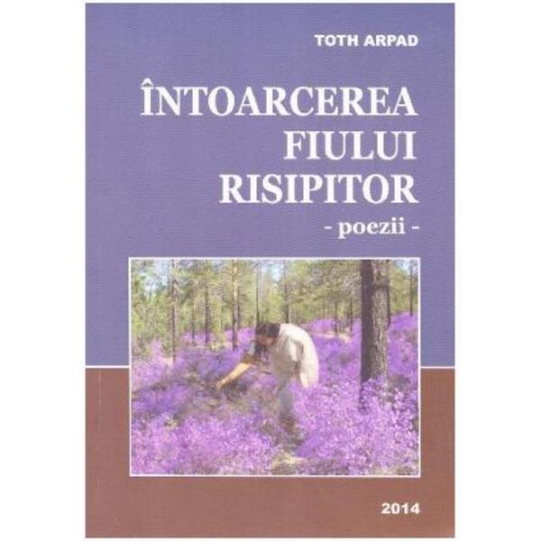 Carte Intoarcerea fiului risipitor - Toth Arpad