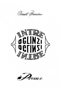 Carte Intre oglinzi - Camil Poenaru editura Camil Poenaru