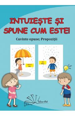 Carte Intuieste si spune cum este! editura Autor Anonim