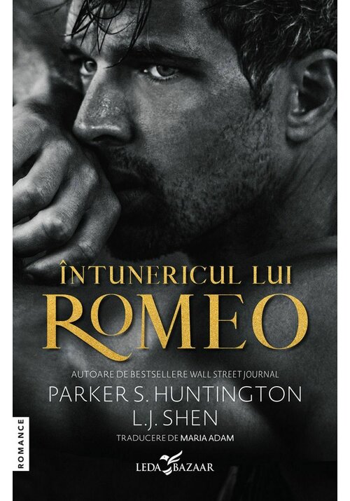 Carte Intunericul lui Romeo editura Leda