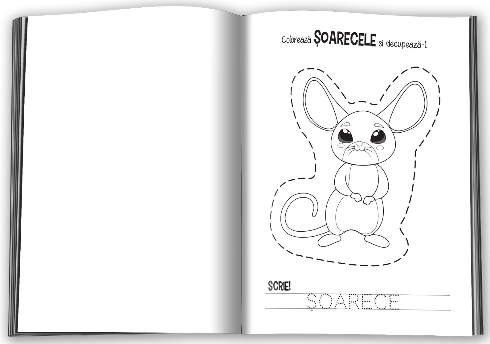 Carte Invat sa scriu