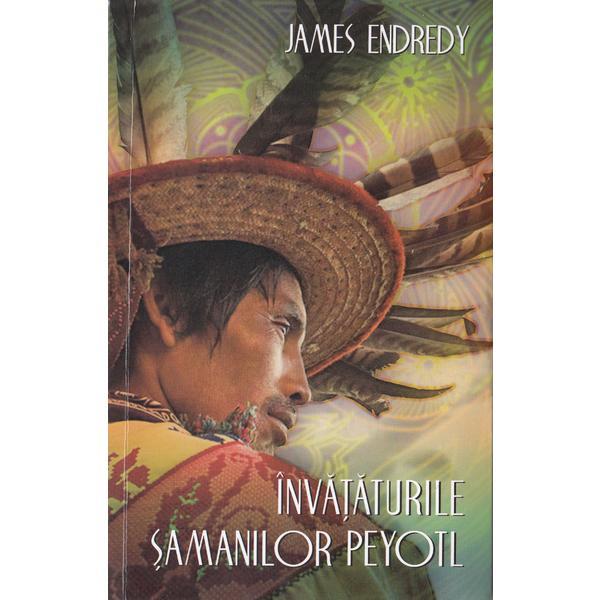 Carte Invataturile samanilor peyotl - James Endredy