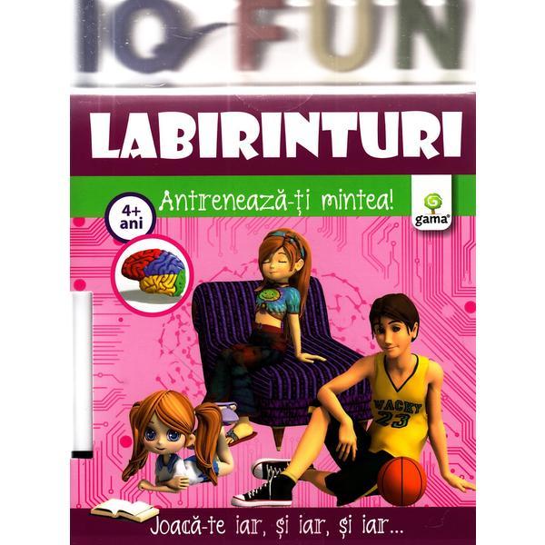 Carte Iq Fun - Labirinturi - Antreneaza-Ti Mintea! 4+ Ani