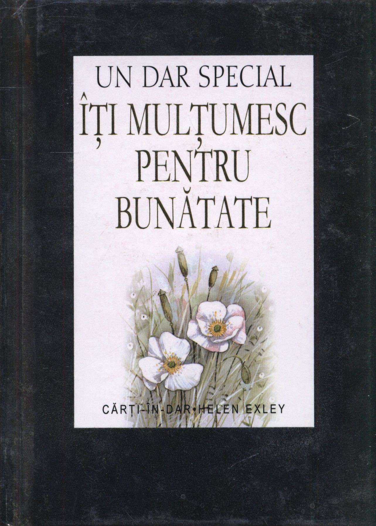 Carte Iti multumesc pentru bunatate   editura Helen Exley