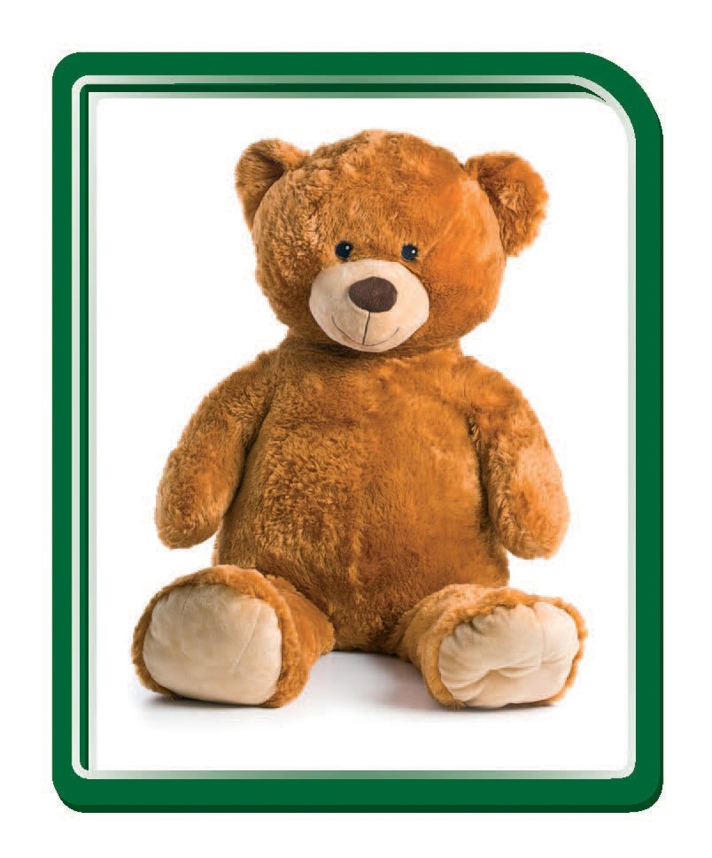 Carte Jocuri si jucarii   editura Gama