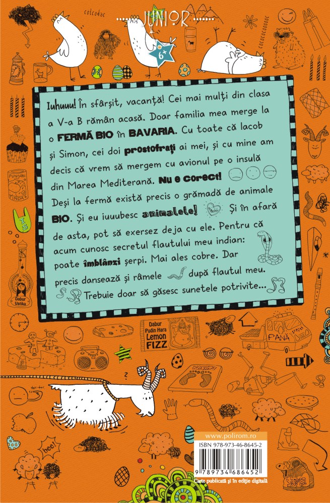 Carte Jurnalul Lottei autor Alice Pantermuller editura Polirom