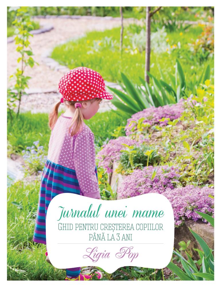 Carte Jurnalul unei mame editura Curtea Veche