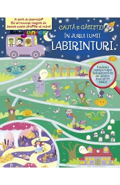 Carte Labirinturi. In jurul lumii editura -