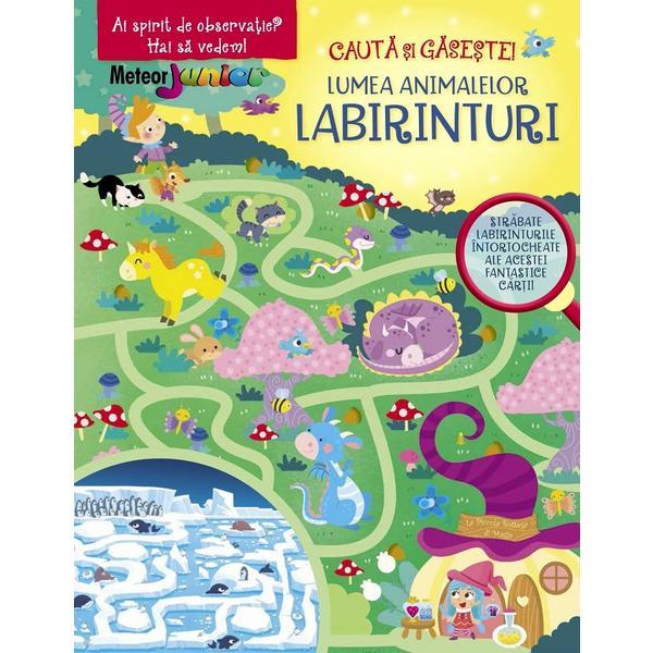 Carte Labirinturi. Lumea Animalelor