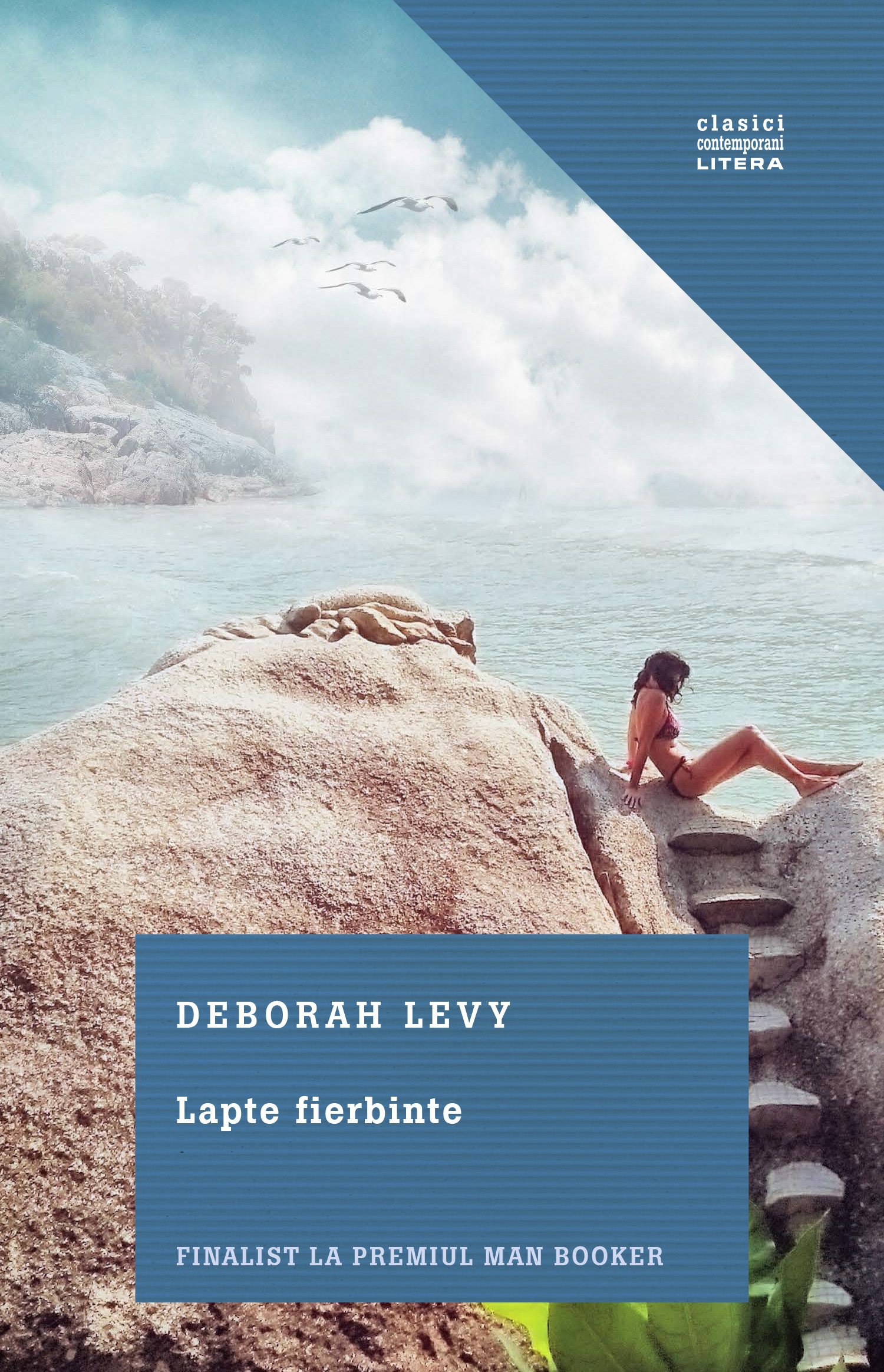 Carte Lapte fierbinte editura Litera