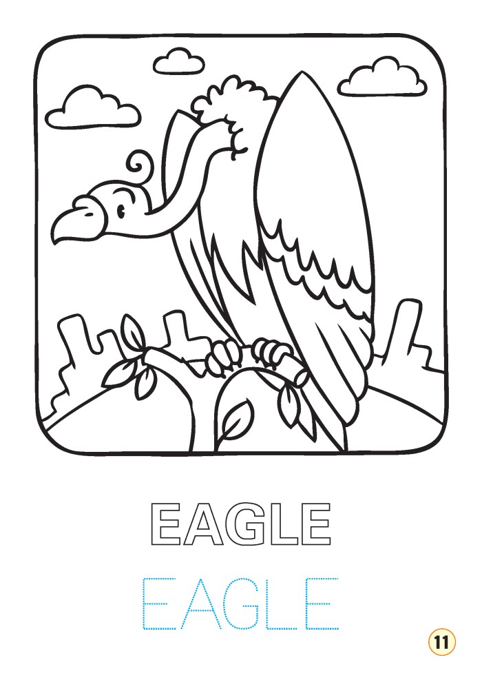 Carte Limba engleza - Pasari (colouring book)   editura Elicart