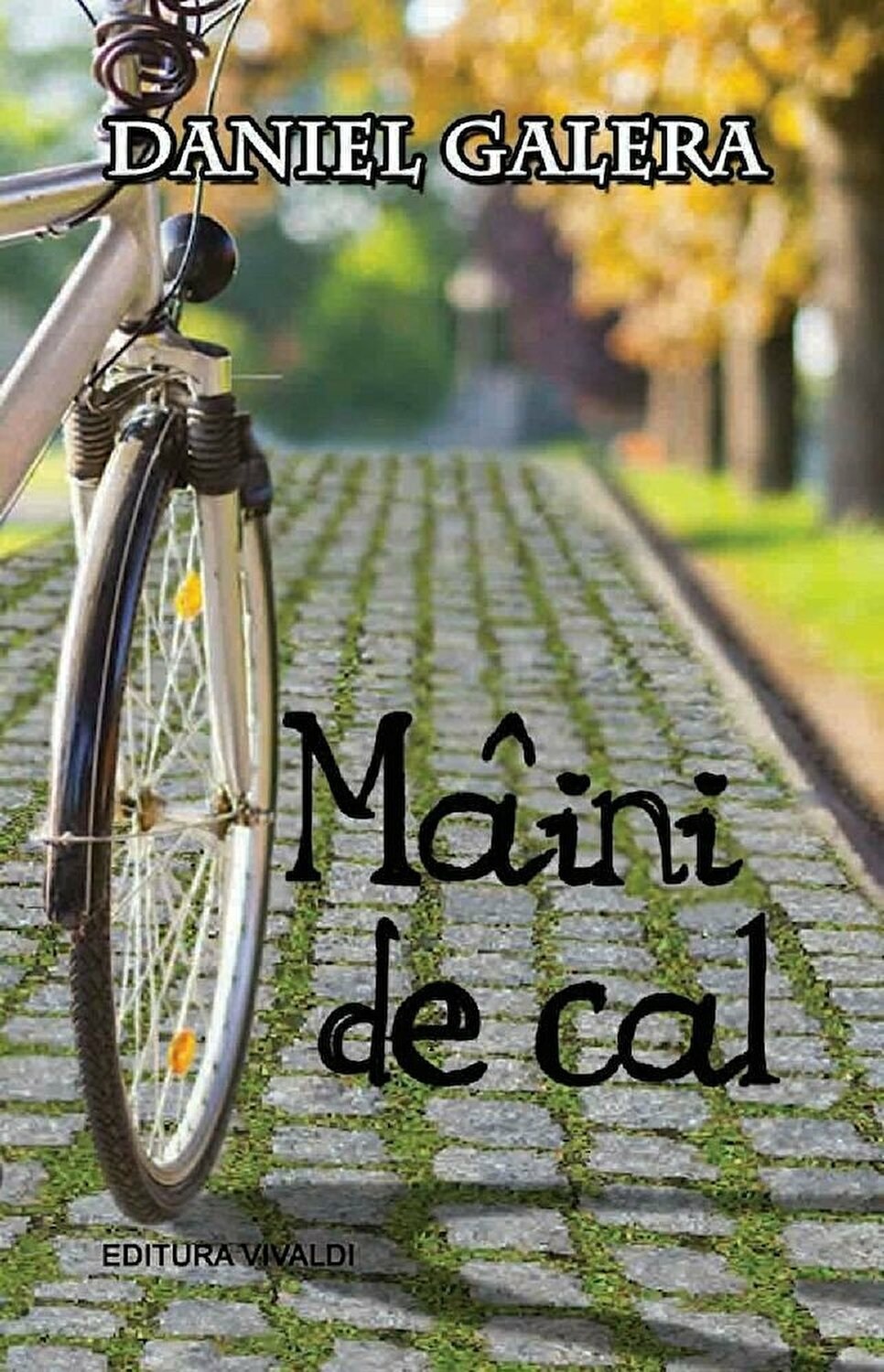 Carte Maini de cal autor Daniel Galera editura Vivaldi