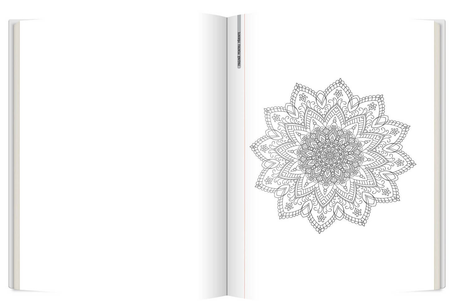 Carte Mandale   editura Gama