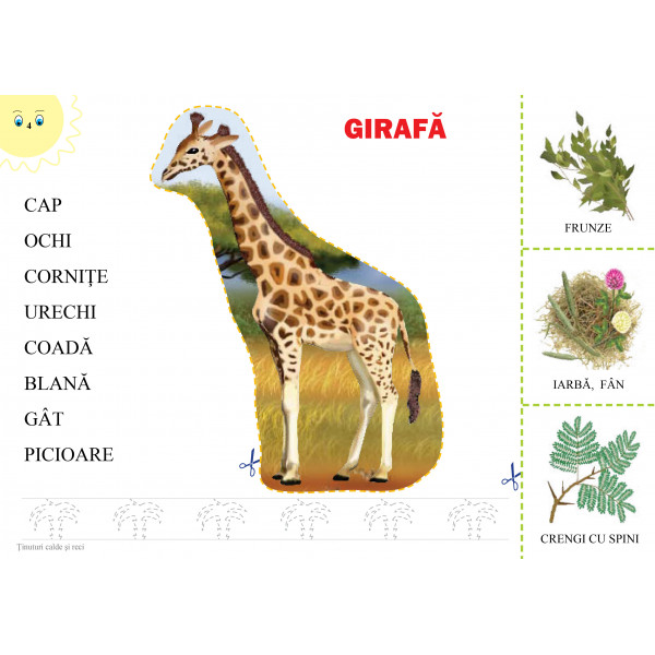 Carte Mapa - Animale din tinuturile calde si reci autor Inesa Tautu editura Dorinta