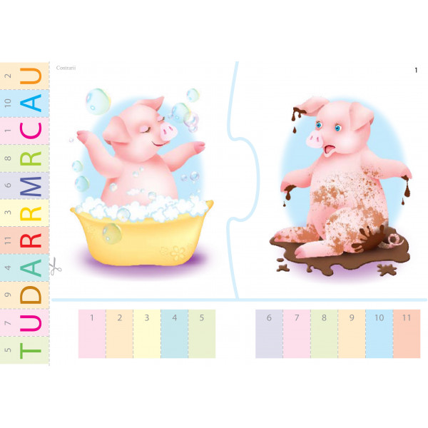 Carte Mapa - Contrarii autor Inesa Tautu editura Dorinta