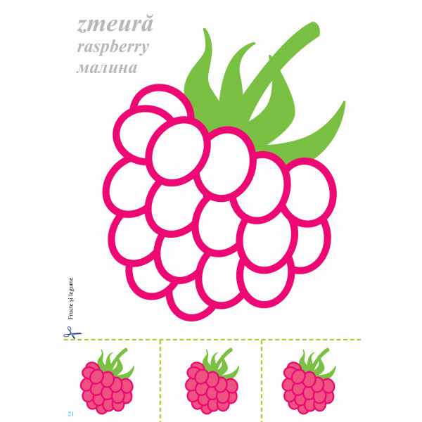 Carte Mapa - Fructe si legume autor Inesa Tautu editura Dorinta
