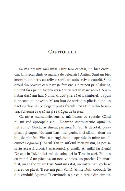 Carte Marele incendiator autor Stelian Tanase editura Corint