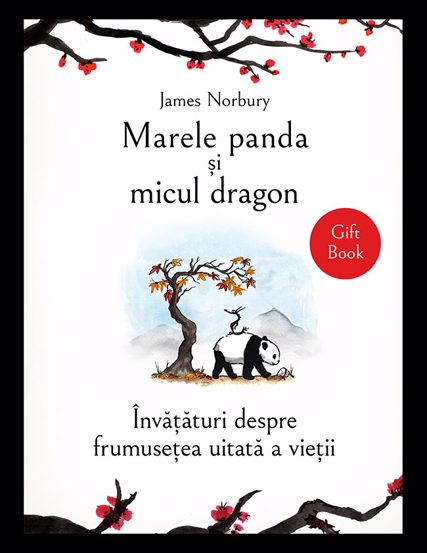 Carte Marele panda si micul dragon editura Bookzone